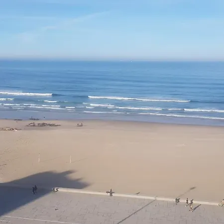 波尔图赛公寓 公寓 *